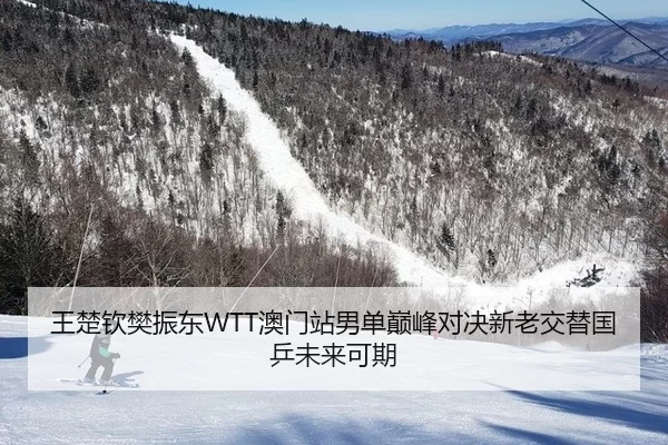 王楚钦樊振东WTT澳门站男单巅峰对决新老交替国乒未来可期
