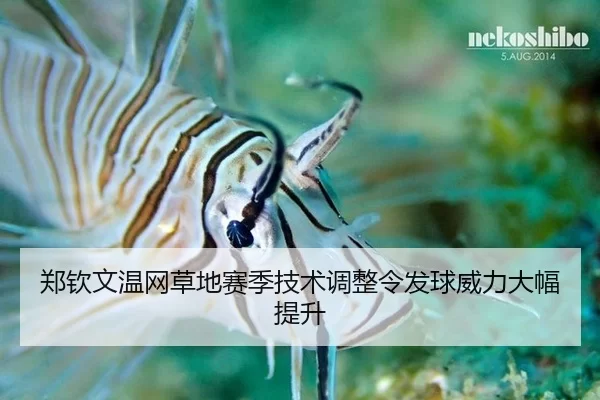 zheng-qin-wen-wen-wang-cao-di-sai-ji-ji-shu-tiao-zheng-ling-fa-qiu-wei-li-da-fu-ti-sheng-3-150.jpg